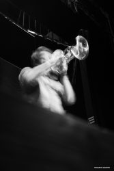 JaniModerQUARTET-61