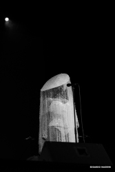 LadyBlackBird-27
