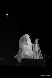 LadyBlackBird-29