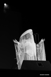 LadyBlackBird-31