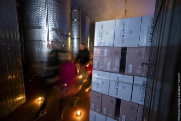 Maria Chiara Argirò: voice, synth, sampler, effects - Jake Burgess: guitar, voice, synth - Riccardo Chiaberta: drums, electronics, bass synth