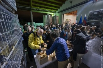 Maria Chiara Argirò: voice, synth, sampler, effects - Jake Burgess: guitar, voice, synth - Riccardo Chiaberta: drums, electronics, bass synth