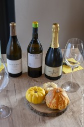 Natalia Abbascià: violin, voice