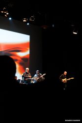 SteveGadd-17