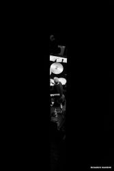 SteveGadd-42