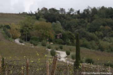 Heidi Heidelberg - Mauricio Velasierra
