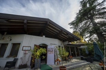 “Cinema Italia” - Luca Zennaro: guitar - Michelangelo Scandroglio: double bass