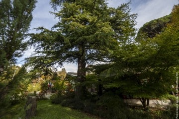 “Cinema Italia” - Luca Zennaro: guitar - Michelangelo Scandroglio: double bass